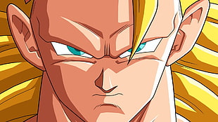 Son Goku super Saiyan 3 portrait