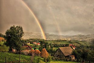 photograph of houses in green field with rainbow