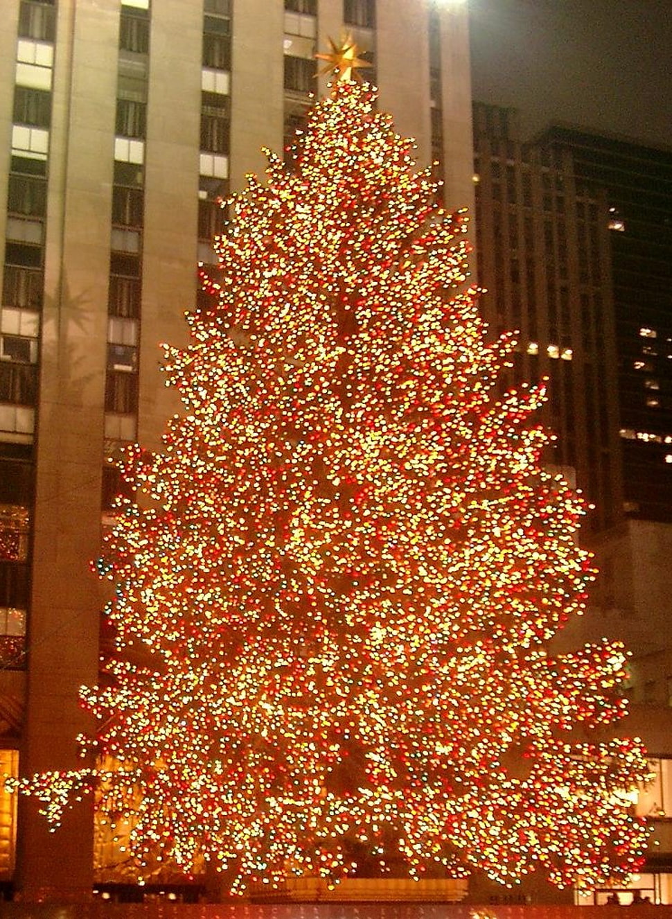 red lighted christmas tree HD wallpaper