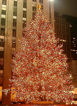 red lighted christmas tree HD wallpaper