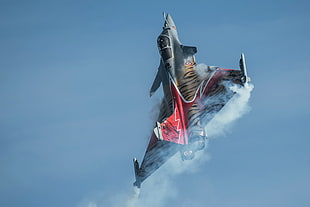 gray and red fighter jet