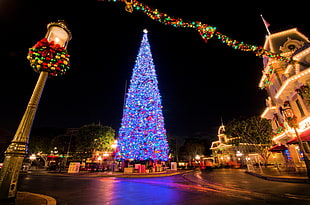 lightened christmas tree in park during night time