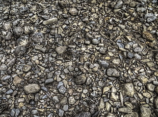 gray stone fragments