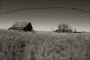 grayscale photography of green field and house
