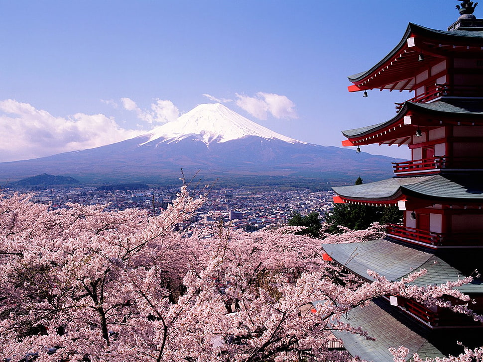 Mount Fuji HD wallpaper