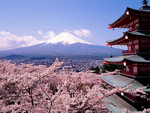 Mount Fuji
