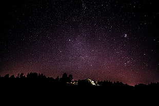 starry night, Starry sky, Night, Stars HD wallpaper