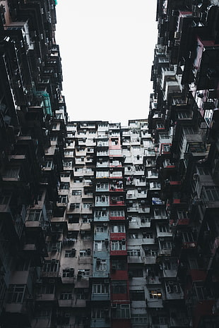 low-angle photography of high-rise building, Hong Kong, building, Alessio Lin