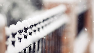 selective focus photography of snow