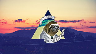 Live Slow Die Whenever logo, triangle, sloths, digital art, nature