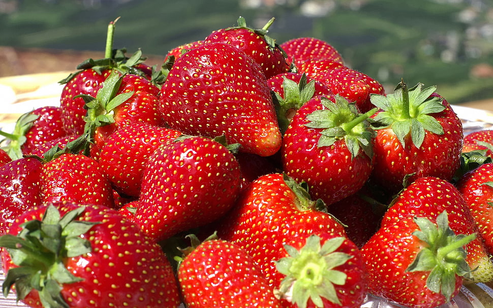 pile of ripe strawberries HD wallpaper