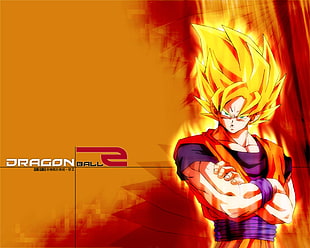 Dragon Ball Z poster HD wallpaper