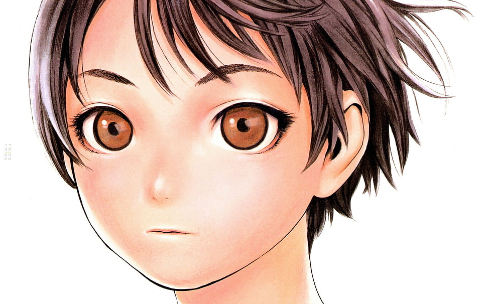 brown-haired boy anime character HD wallpaper