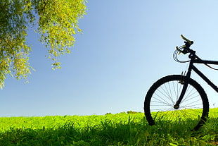 black bicycle on green grassland during daytime