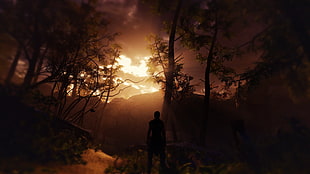 silhouette of person in the woods, Hellblade: Senua's Sacrifice, screen shot, Nvidia Ansel, landscape