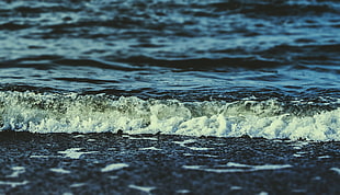 close-up photo of sea shore, landscape, Baltic Sea, beach, waves HD wallpaper