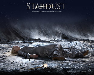 Stardust illustraton, movies, Claire Danes, movie poster