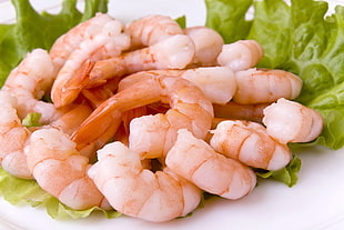 shrimp on plate