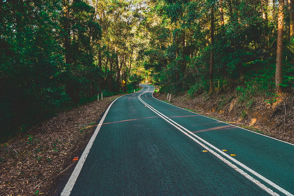 black asphalt road, Road, Marking, Turn HD wallpaper