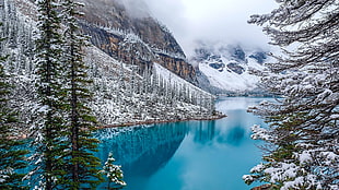 photography of blue lake with green pine trees