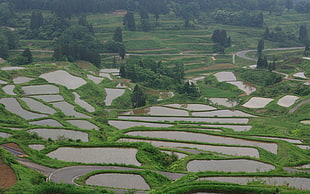 low angled view of rice terraces
