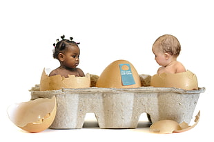 two babies inside cracked eggs HD wallpaper