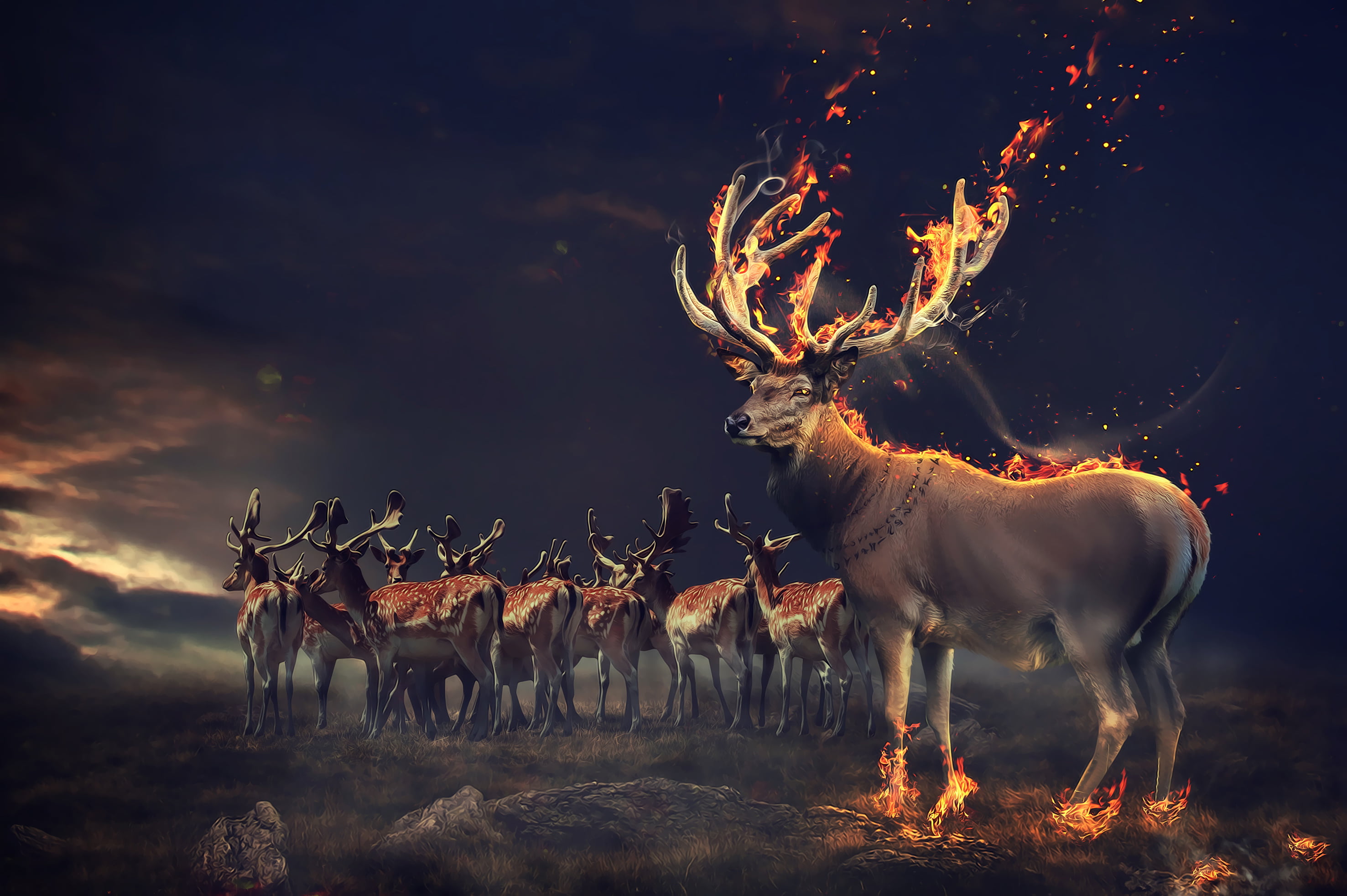 Brown Reindeer Illustrations Deers Fire Hd Hd Wallpaper Wallpaper Flare