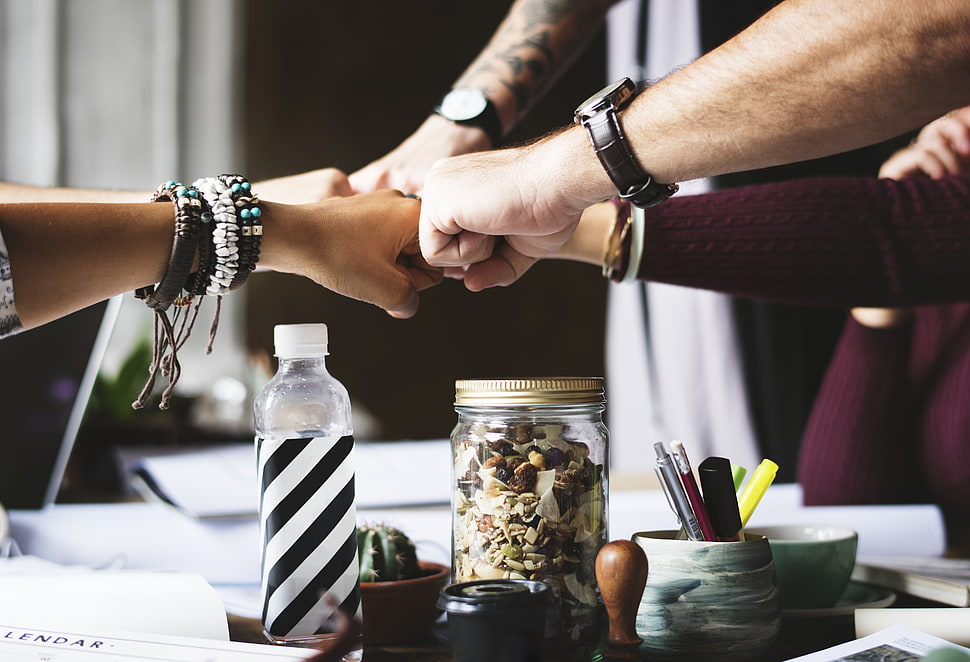 five person doing fist bump HD wallpaper