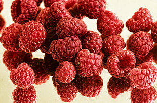 bunch of red rasp berries HD wallpaper