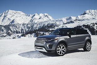 grey Land Rover Range Rover Evoque on snowfield HD wallpaper
