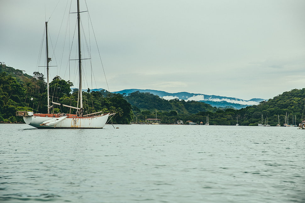 white and orange boat HD wallpaper