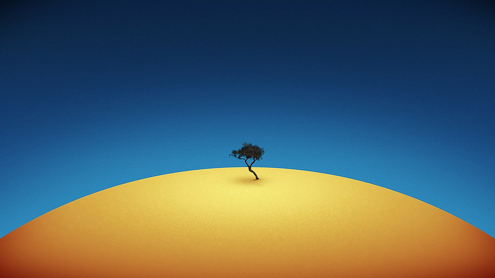 black tree illustration, trees, minimalism, simple background HD wallpaper