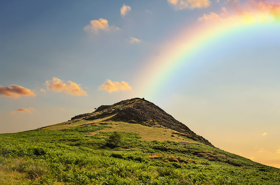 photo of green mountain and rainbow HD wallpaper