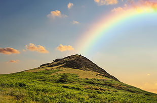 photo of green mountain and rainbow