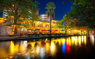 Cafe store and lake side view during night time photography HD wallpaper