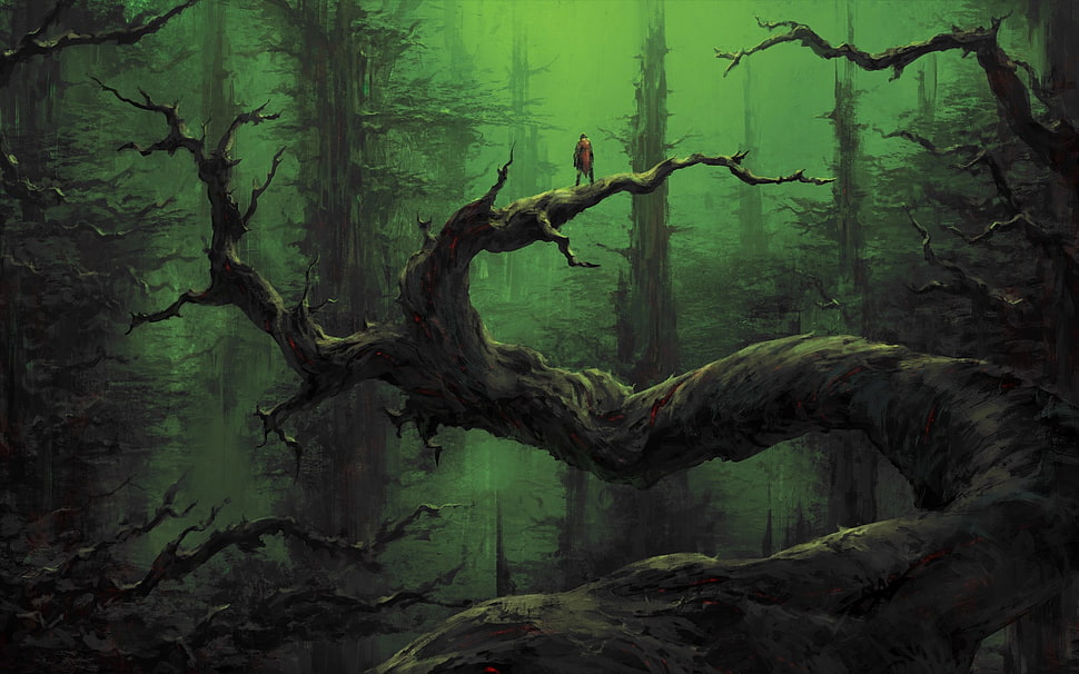 bare tree in forest wallpaper, fantasy art HD wallpaper