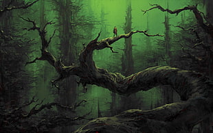 bare tree in forest wallpaper, fantasy art