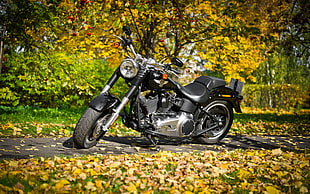 black and gray Cruiser motorcycle