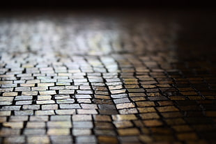 brown bricks floor