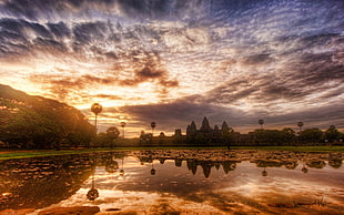 trees during sunset, nature, landscape, sky, clouds