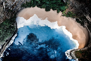 bird's-eye view of body of water near green tree