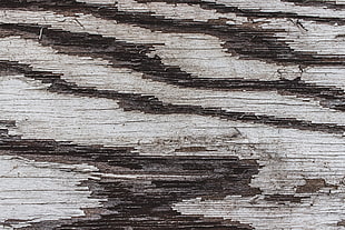 Texture,  Wood,  Paint