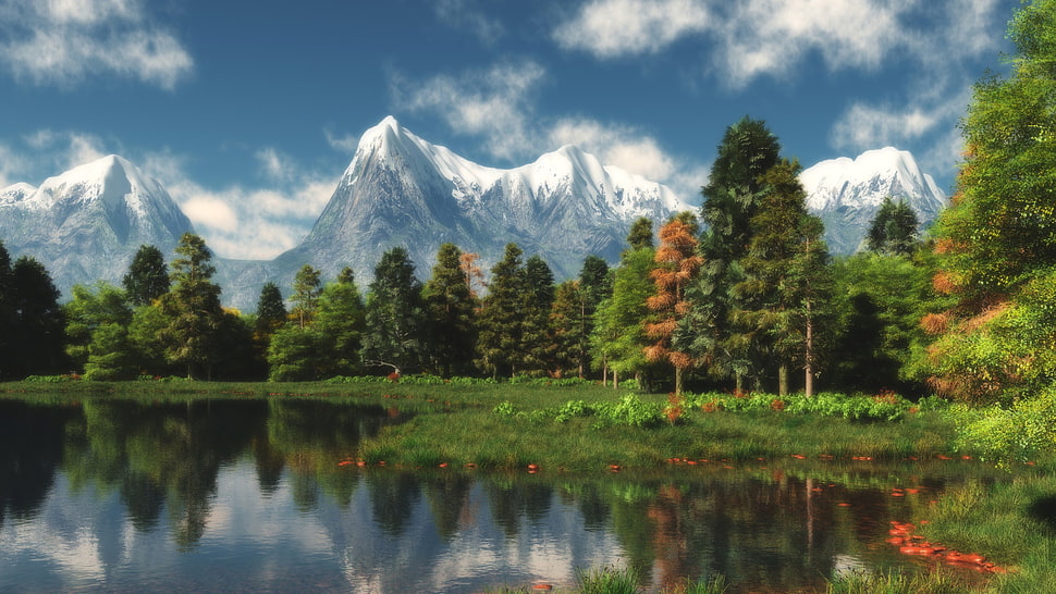 lake surrounded by trees with snowy mountain background HD wallpaper