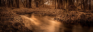 sepia photo of a creek