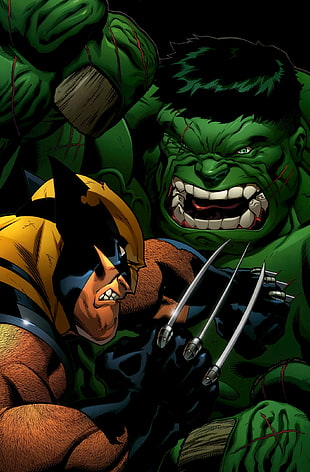 Wolverine and Hulk wallpaper, Marvel Comics, Hulk, Wolverine HD wallpaper