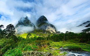green mountain near tall trees under white cloud blue skies, nepal, barun valley
