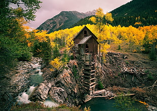 brown wooden house near river and forest HD wallpaper