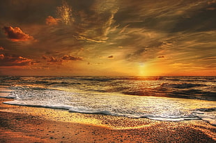 natures photography of sea during sunset