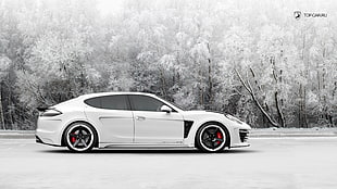 white sedan, Porsche Panamera, snow, car, Porsche HD wallpaper