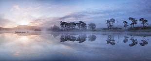 body of water with trees, kilmacolm, scotland HD wallpaper